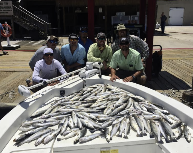 March 2019 Venice Fishing Report